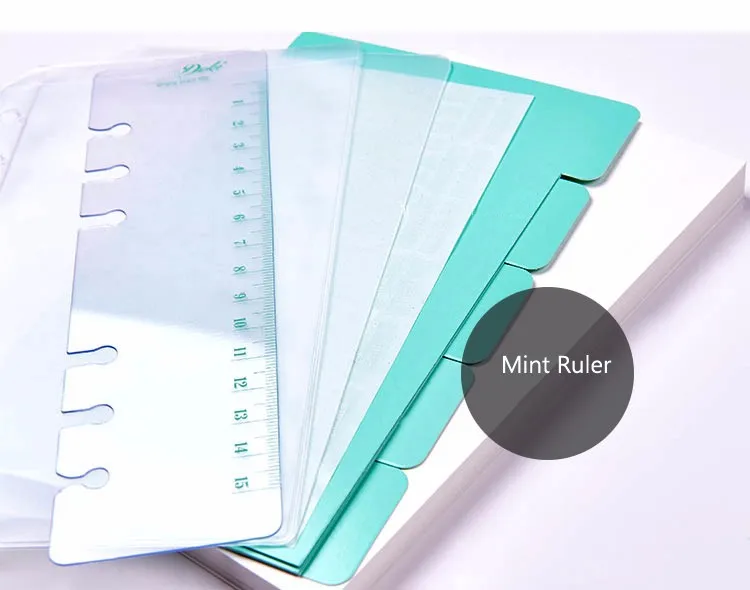 bbbb Dokibook 2016 New Straight Ruler Loose-leaf Today Rulers Frosted Transparent Mint Cute kawaii Write Polka Dot Ruler4 (2)