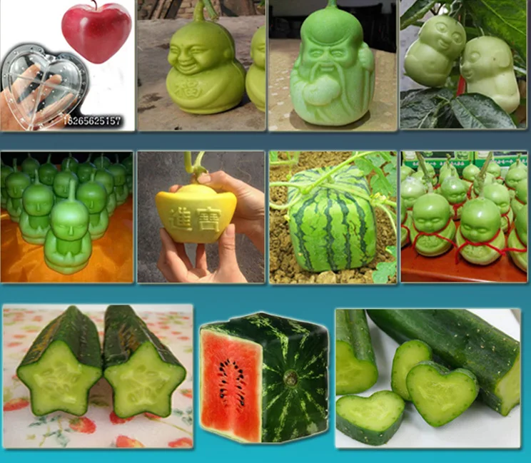 10 шт. форма для выращивания фруктов в форме сердца|mold|mold fruitmold heart |