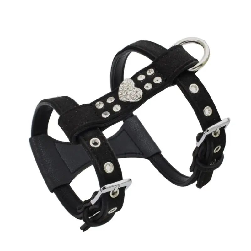 cute boy dog harness