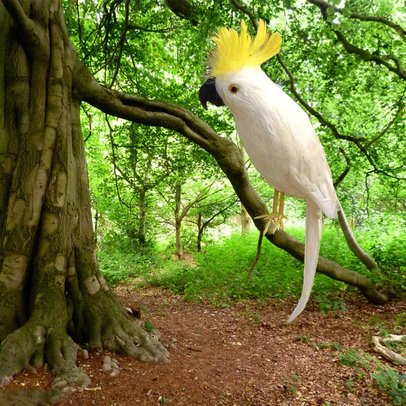 1 -  - 