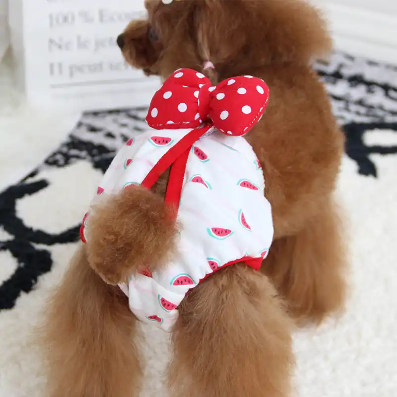 female dog bows
