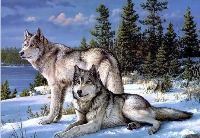 

DIY Factory Shop Cross Stitch Kit Two Wolf Animal In Snow Fast Shipping
