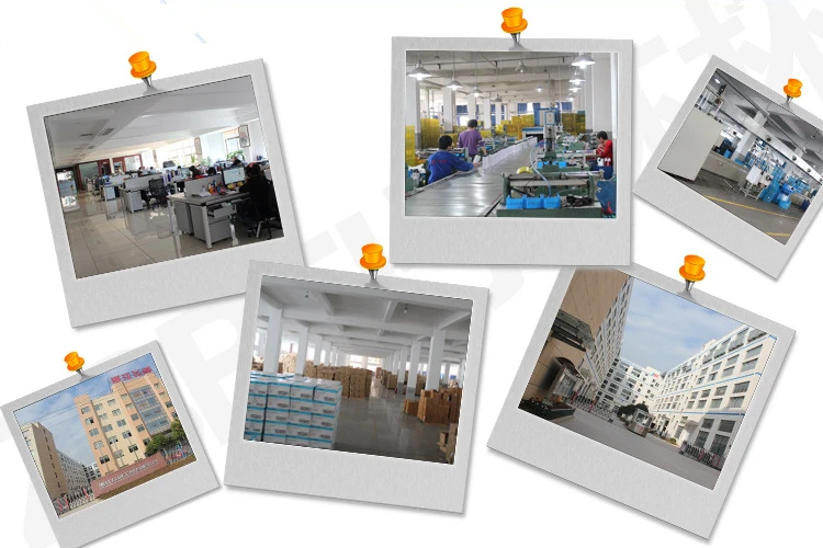 3971916735_442508594_