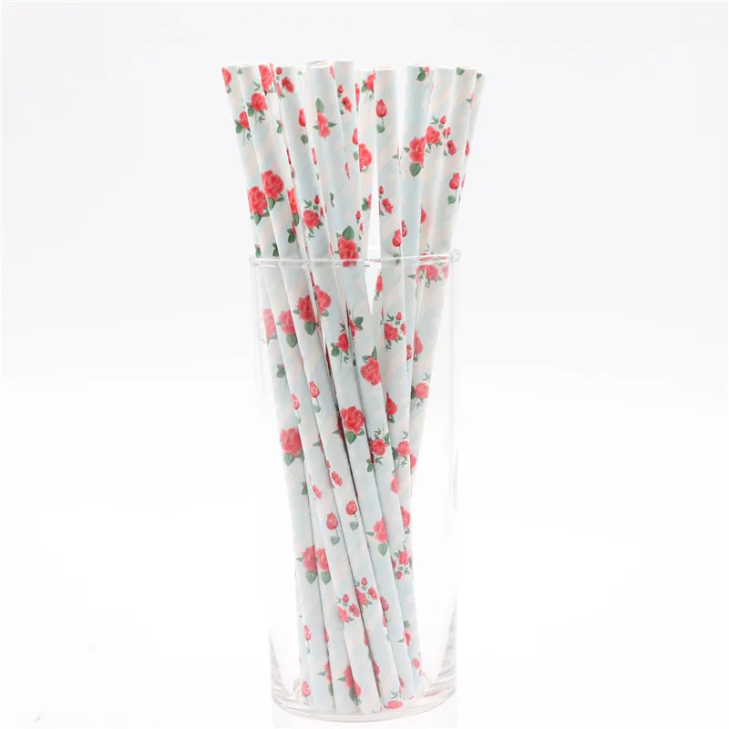 25 шт одноразовые соломинки для напитков в полоску цветок арбуз детская игрушка в ванную Свадебные украшения на день рождения - Цвет: Y36