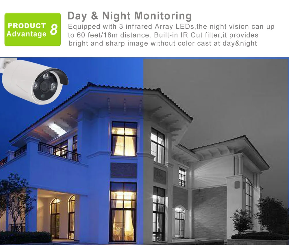 8 day&night