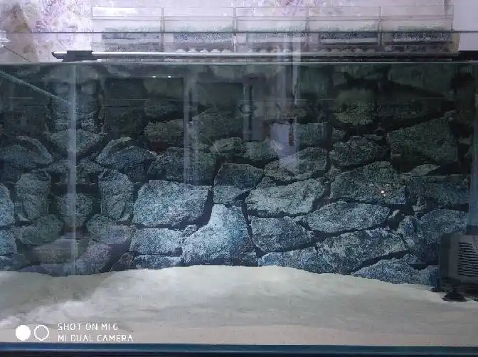 Fondo De Ladrillo De Piedra Hd Imagen De Pared Pez Fondo Para