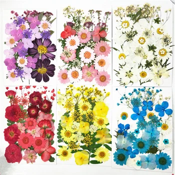 Flores preservadas de colores para hacer manualidades