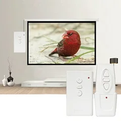 dual remote