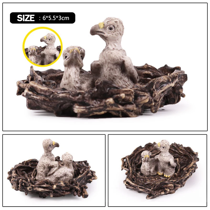  (5)