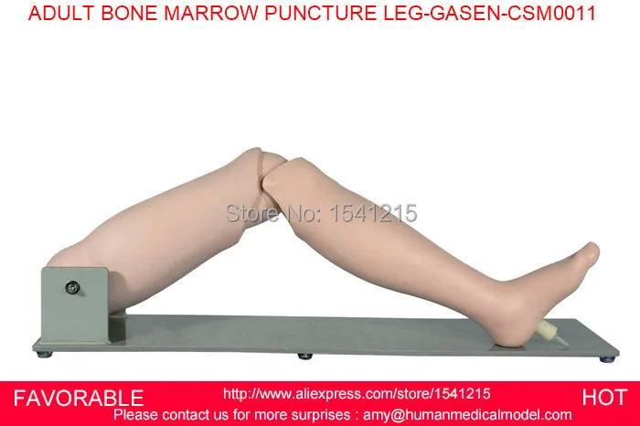 

ADVANCED BONE MARROW PUNCTURE AND FEMORAL VENIPUNCTURE TMARROW PUNCTURE SIMULATOR ADULT BONE MARROW PUNCTURE LEG-GASEN-CSM0011