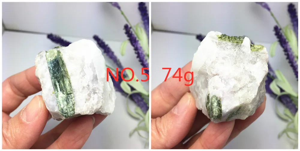 5 (1)_