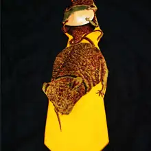 Мужская fashionalbe дизайнеры бренда животных галстук-бабочка Свадебная вечеринка шеи связей Мальчики Bowties британец галстук noeud Papillon