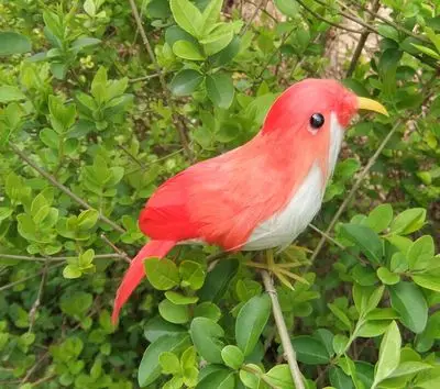 

Long 11CM bird feather bird crafts garden decorative toy gift A292