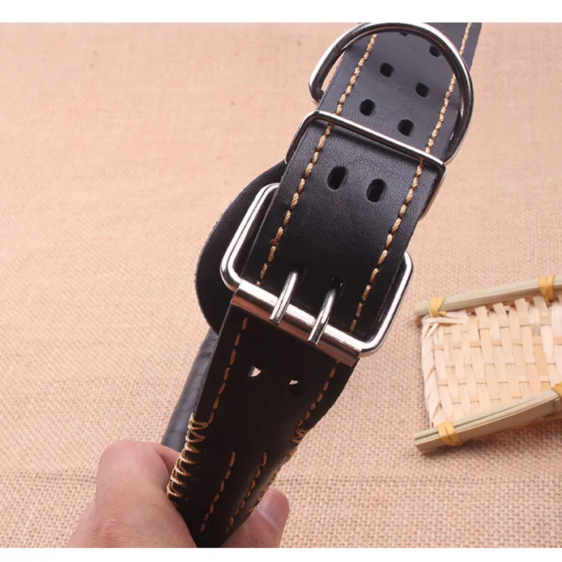 dog collar