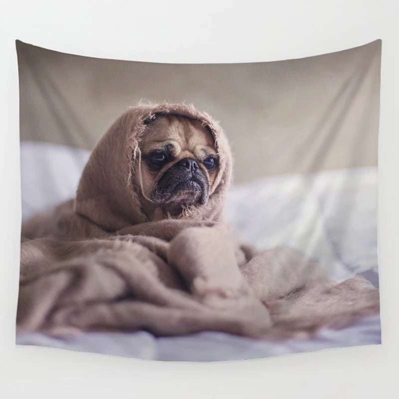 Девушка храпит. Сон вкус. Сон вкус. Торговая марка дело вкуса. Сон вкус.