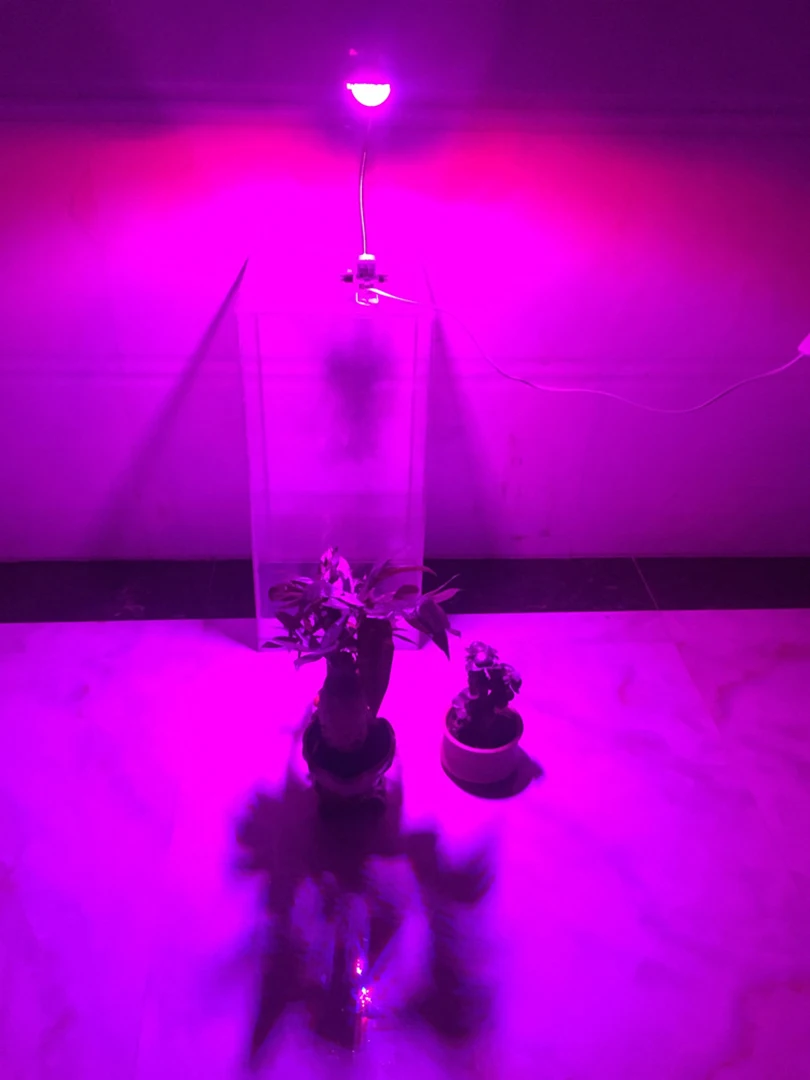 5097021084_1007843862