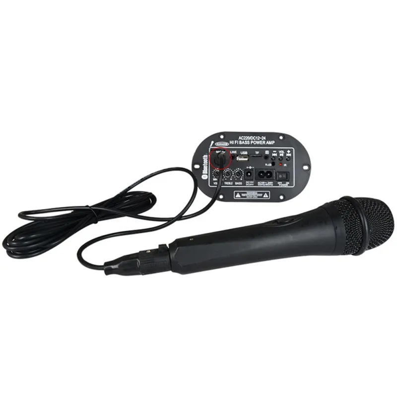 12 V/24 V/220 V 3028BTMIC цифровой усилитель плата поддержка микрофона Bluetooth радио карта памяти/U диск с пультом дистанционного управления