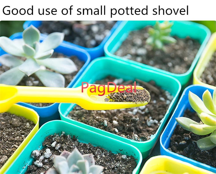Transplant seedlings Tools02