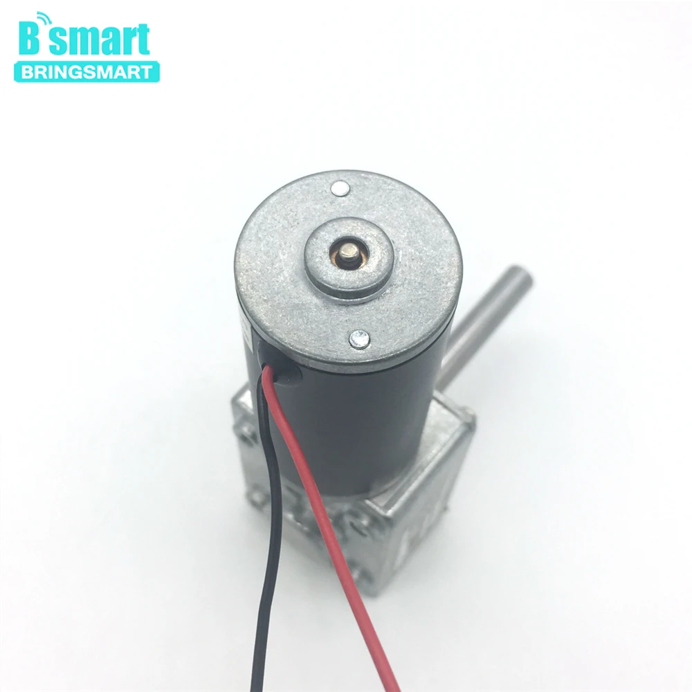 

Bringsmart 12V 24V PMDC Worm Geared Motor High Torque Reversed Reduction Motor Self-Lock Extension Double Shaft 5840-31ZY