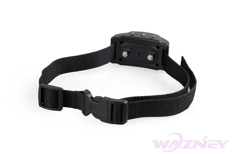 dor collar--2
