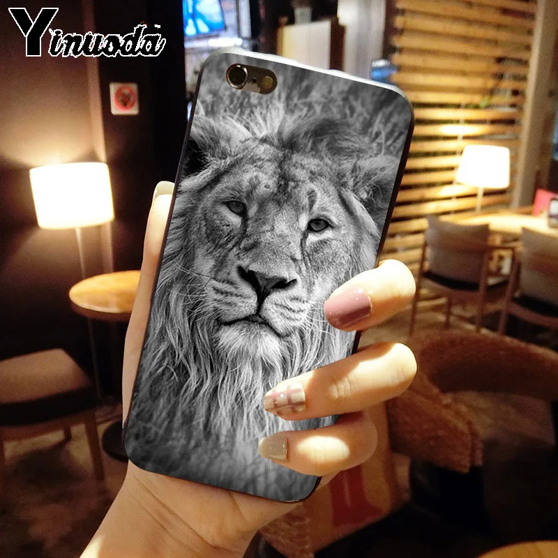ASLAN LION THE CHRONICLES 