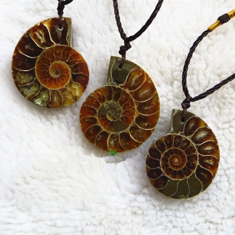 

Natural Stone Ammonite Fossils Seashell Snail Pendants Ocean Reliquiae Conch Animal Necklaces Statement Men Jewe Christmmas gift