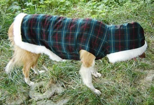 Pet apparel dog clothes big dog winter clothes large dog golden winter tartan