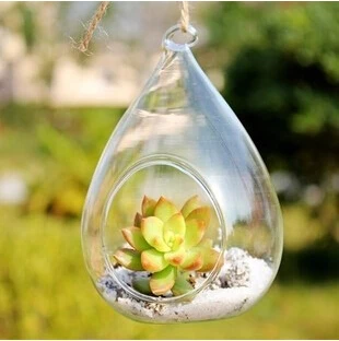 

Vase Micro-culture Landscape Moss Bottle Floor Vase Transparent Hanging Glass & Crystal Modern of Water XIGL