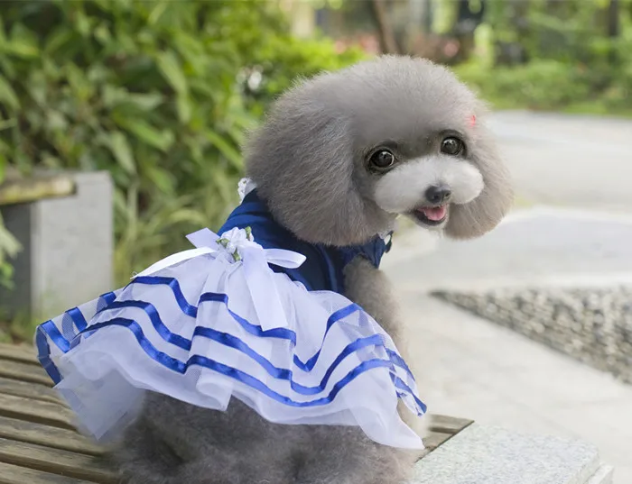 Новые щенок Свадебная вечеринка Кружево юбка-пачка с бантом платье принцессы Pet Одежда Товары для домашних животных поставки Прямая
