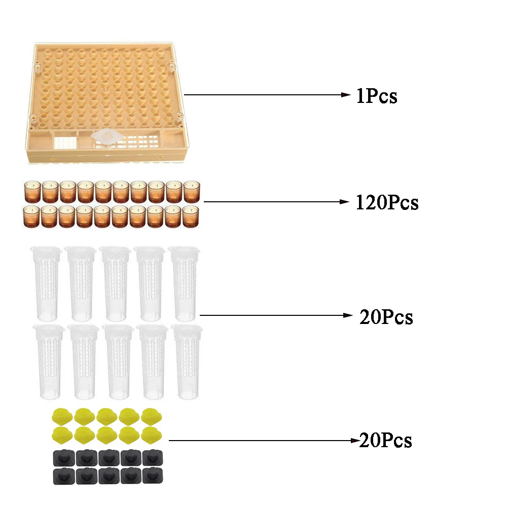 

1set bee tools kit queen rearing system complete pedestal new cupkit cup box cell protective cover plastic bees cages supplies