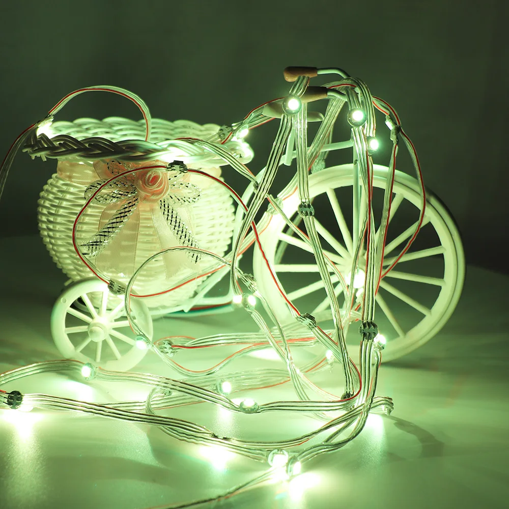 WS2812 Light String L844 (11)