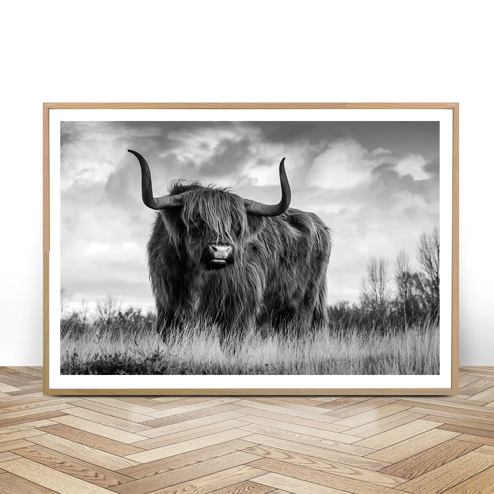 Nordic Decoration Highland Cattle Wall Art Black and White Poster and
