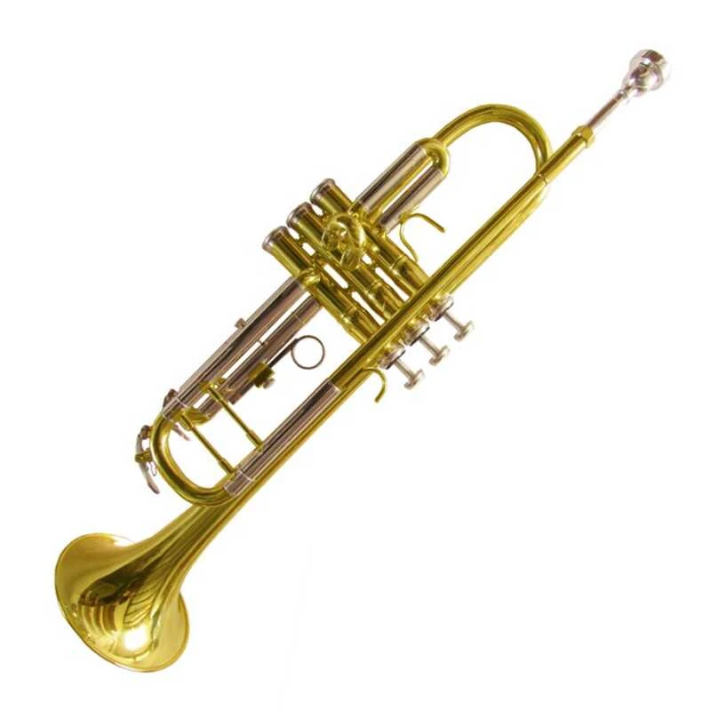 ホット楽器トランペットht色 Instrument Trumpet Musical Instrument Trumpettrumpet Musical Instrument Aliexpress