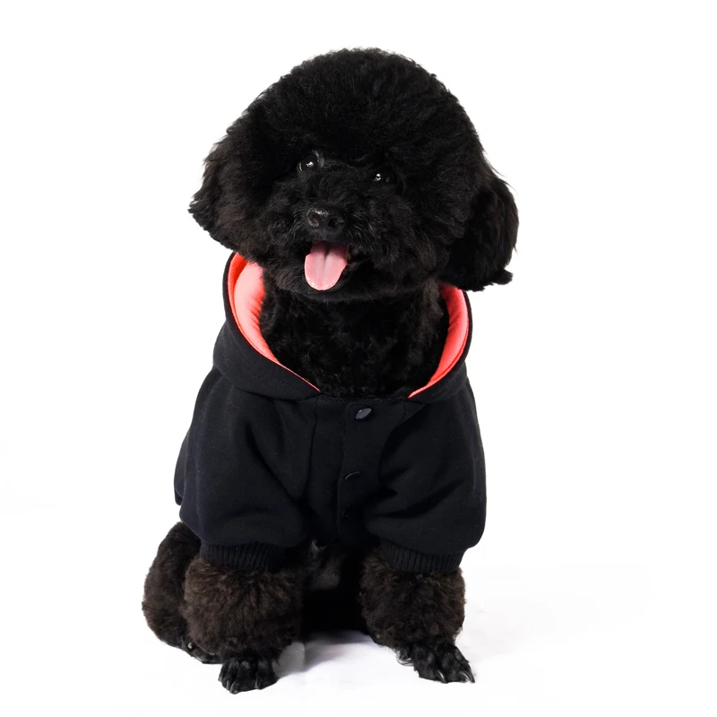 4 dog costume 