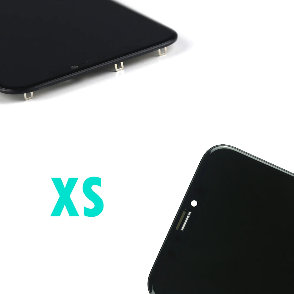 XS--