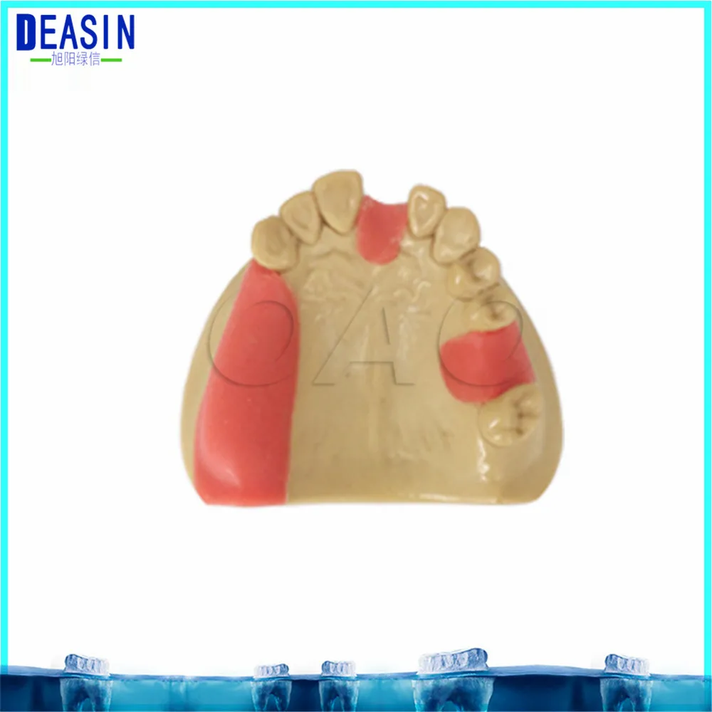 Высокое качество для тренировки имплантации модель для обучения зубной зубы стоматолог анатомический анатомия Стоматологическая модель