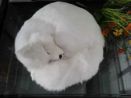 

large 27x27cm simulation furry fur sleepy fox toy white fox model,polyethylene & furs handicraft decoration Christmas gift a2461