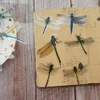 28pcs Insect Theme Dragonflies In Summer Style PVC Sticker Scrapbooking DIY Gift Packing Label Decoration Tag ► Photo 3/6