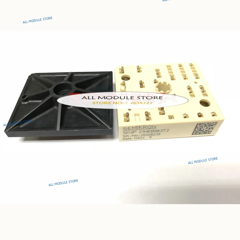 SKIIP21HEB063T2_
