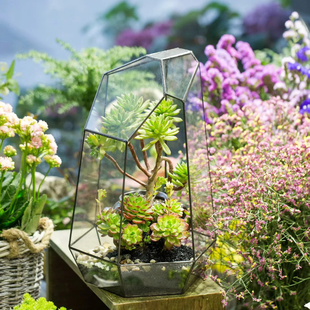 Ncyp irregular vaso de flores de vidro para suculentas vidro geométrico terrário diy samambaias musgo bonsai em miniatura decoração da sua casa