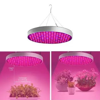 

50W LED Grow Light Indoor Plants Growing Lamp for Seedling Cultivation EU/US Plug
