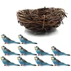 10pcs Blue 1Pc Nest