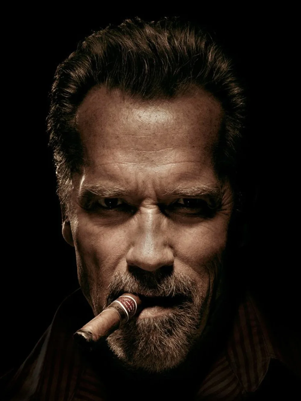 Arnold Schwarzenegger(80x60cm)-39
