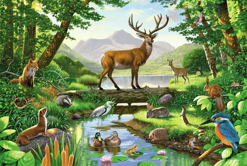 Сказка на тему природа. Пазлы Касторленд 300 деталей. Пазл Castorland Call of nature (c-200702), 2000 дет.. Лес с животными. Жители леса.