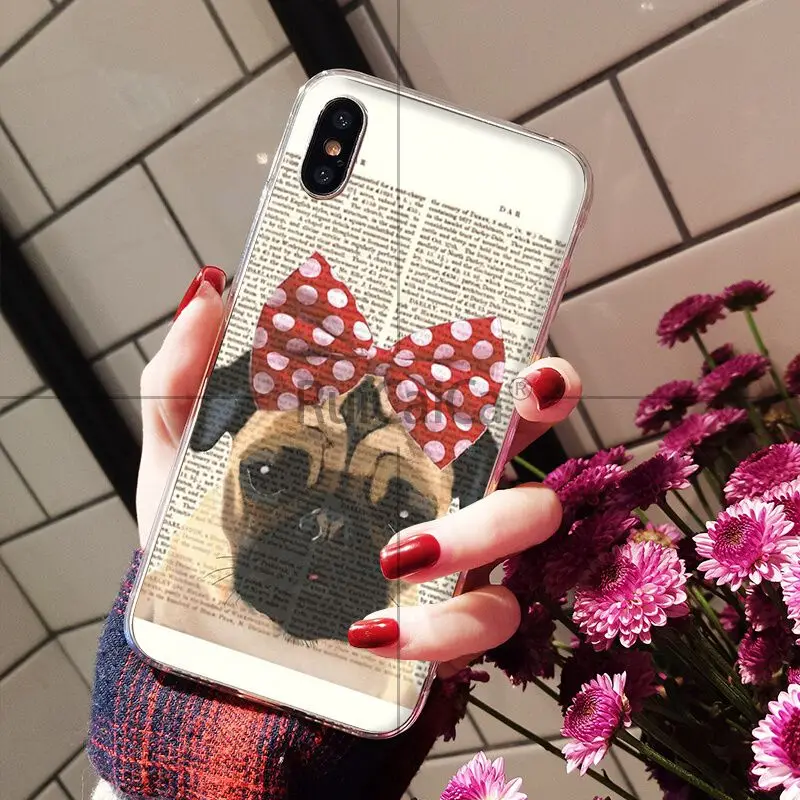 Book newspaper background Cute French Bulldog