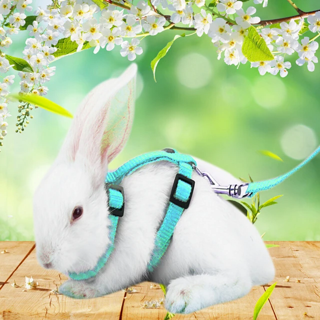 Rabbit Harness Leash Adjustable Rabbit Leash For Guinea Pigs Small Pets
