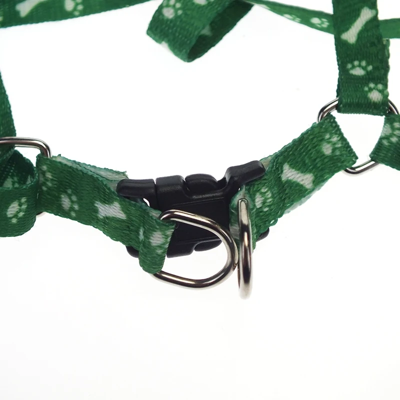 dog harness leash (5)