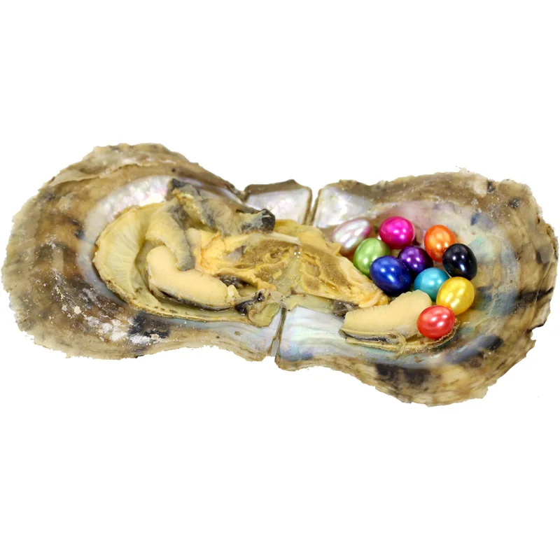 5pcs Vacuum Packed Oyster Fashion Saltwater Mini Monster with Multiple Pearls 3-10 Colored Rice Oval Akoya ABH834 | Украшения и