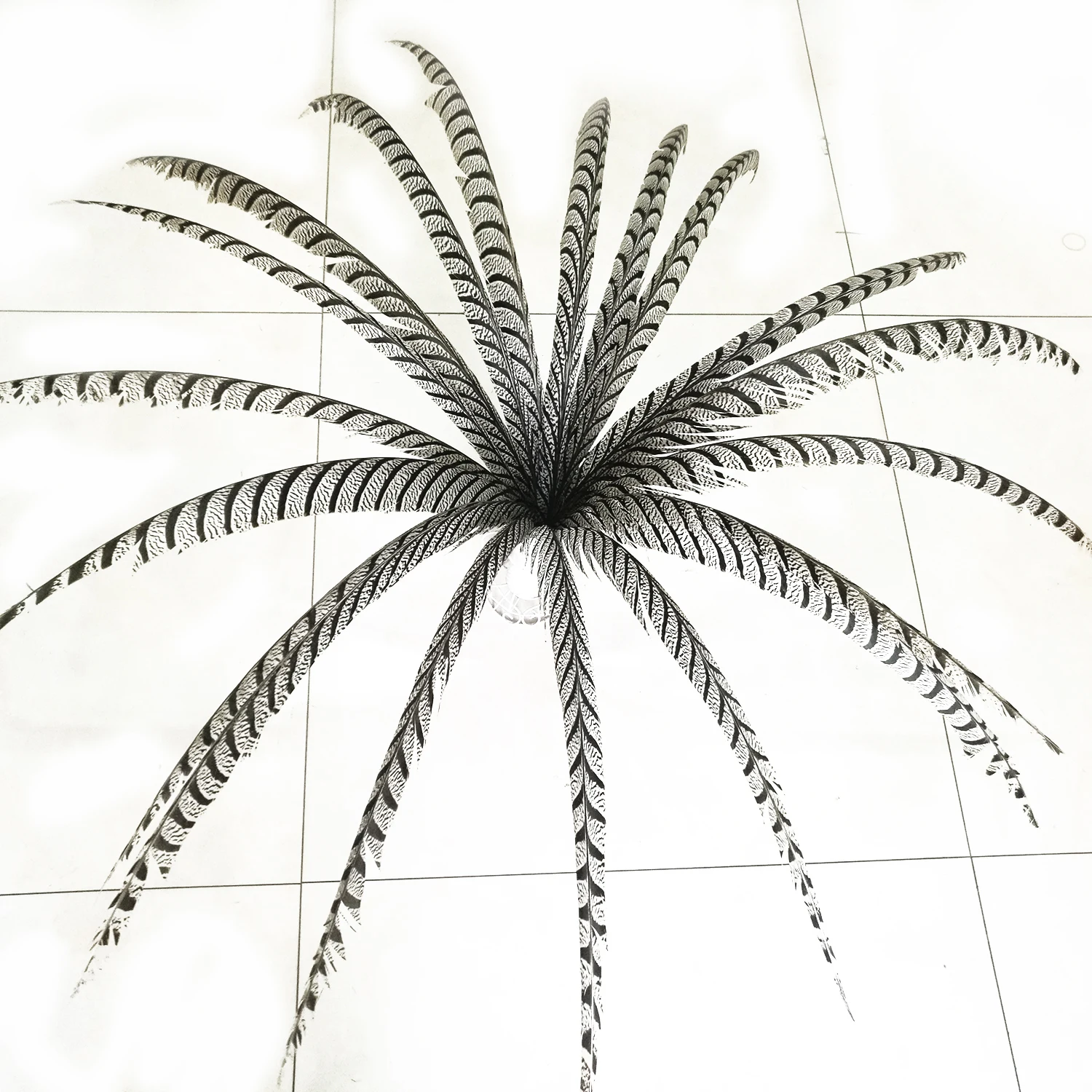 

Hotsale 10pcs 80-100cm long Pheasant Feathers Natural Zebra Pheasant Tail Feathers Samba Feather Lady Amherst Pheasant Feathers