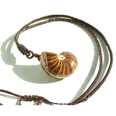 Natural parrot fossil snail pendant stone necklace chain jade top quality | Дом и сад
